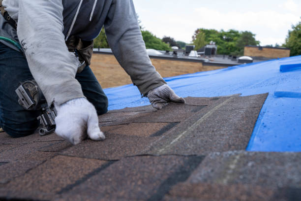 Roof Installation Near Me in Sprague, WV