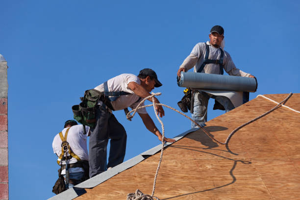 Best Roof Leak Repair  in Sprague, WV